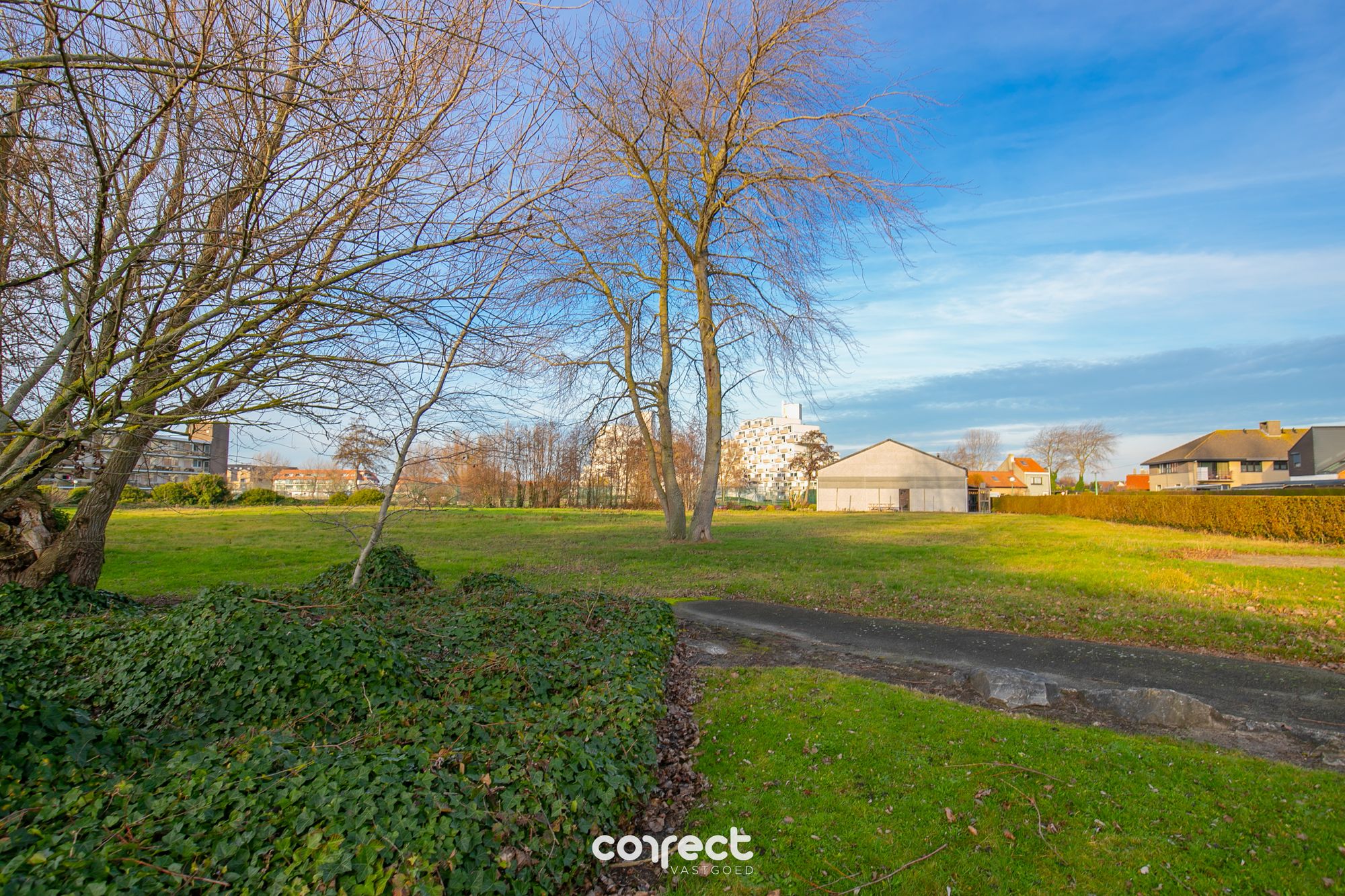 Wandelen in het groen