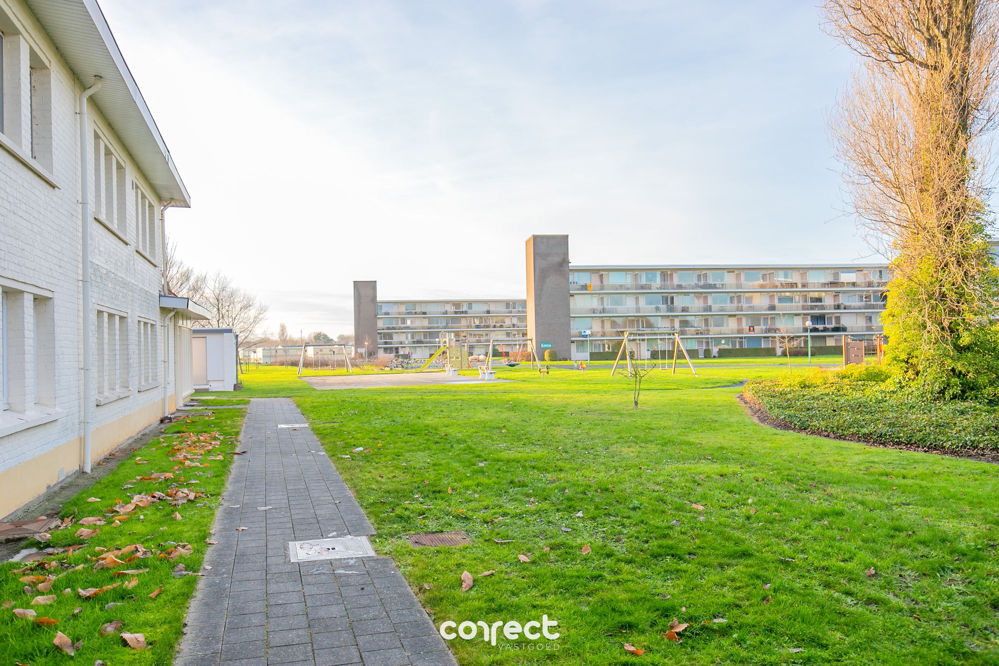 Grasvelden tussen de gebouwen
